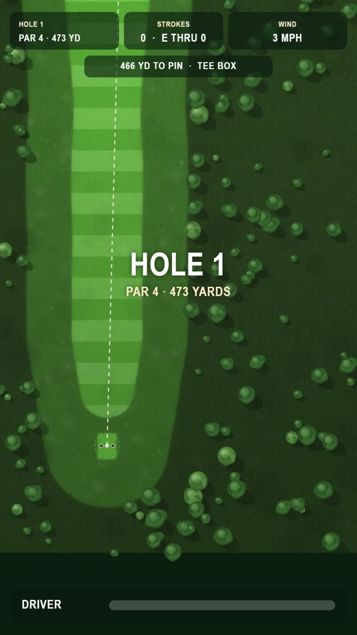 Aiming a tee shot down a tree-lined fairway